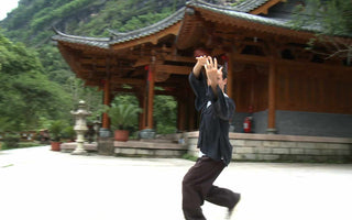 What is Baguazhang?
