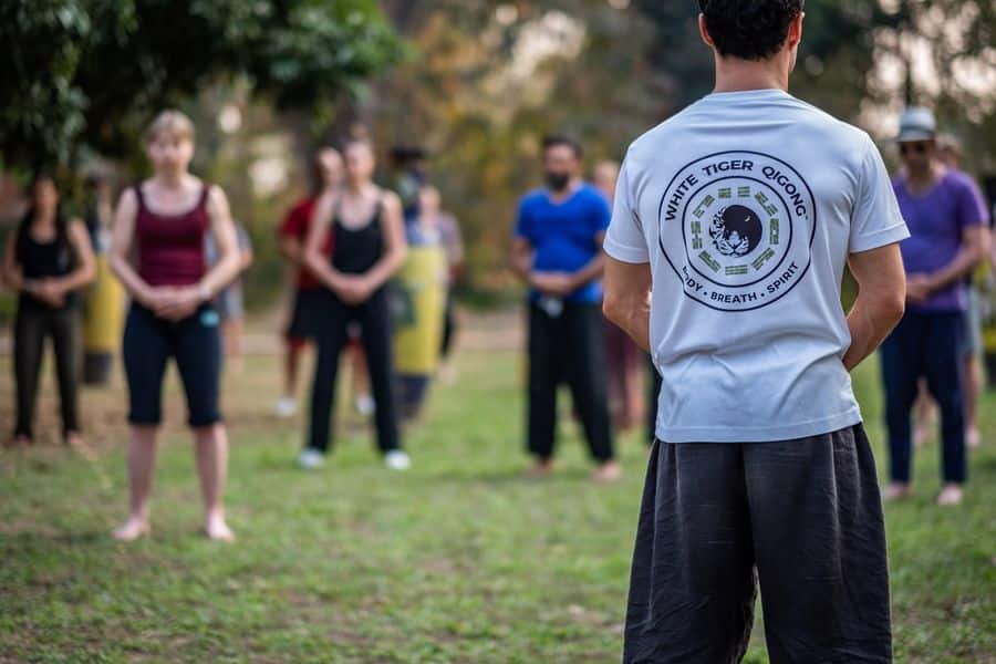 Qigong Chakras