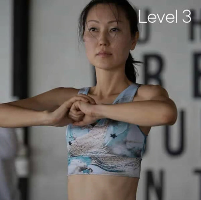 Level 3: Spiritual Depth (Shen)