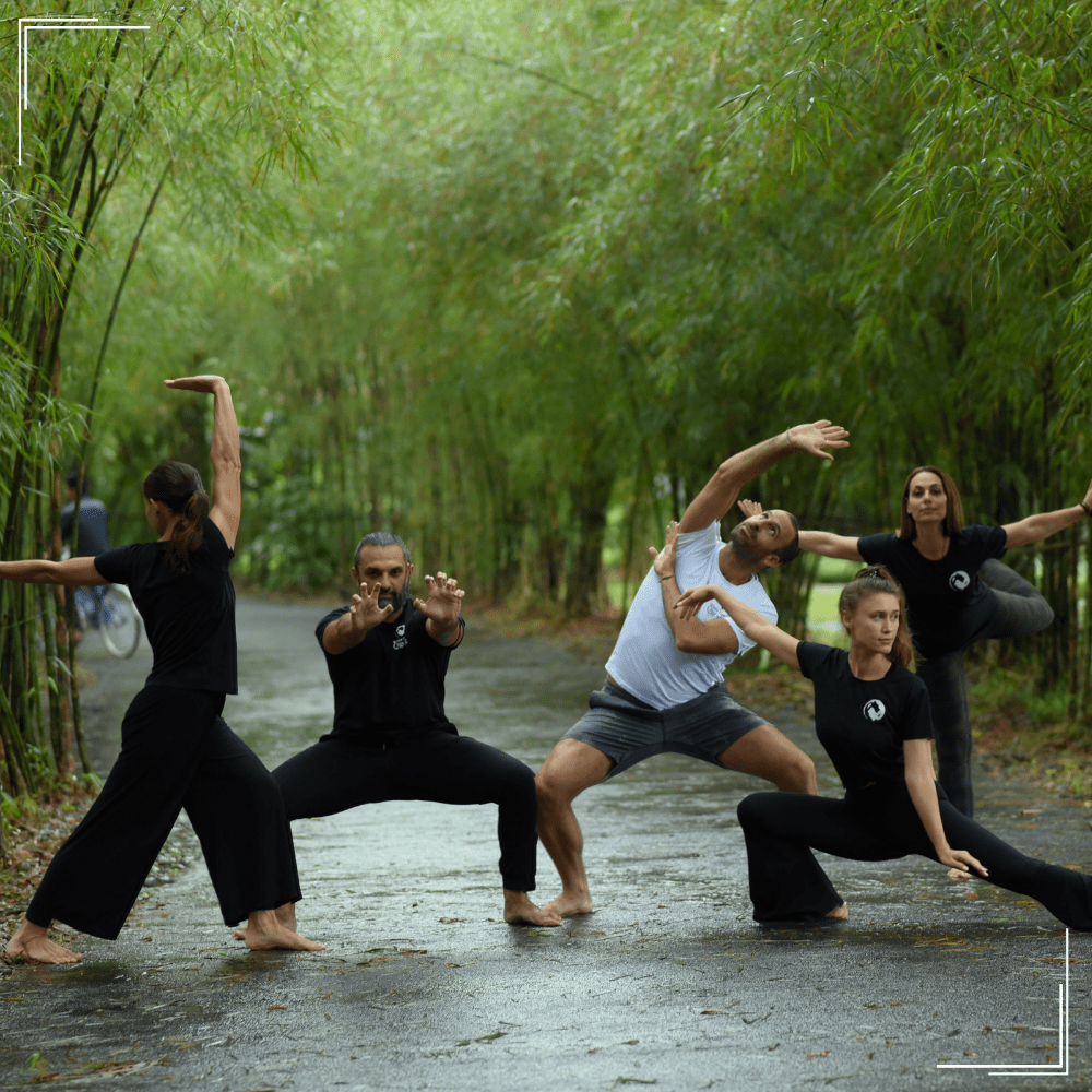 5 Element Qigong Mastery Course and Teacher Training Online Advanced White Tiger Qigong 
