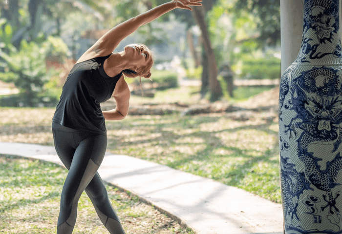 Dragon Meridian Qigong Mastery Course and Teacher Training Advanced White Tiger Qigong 