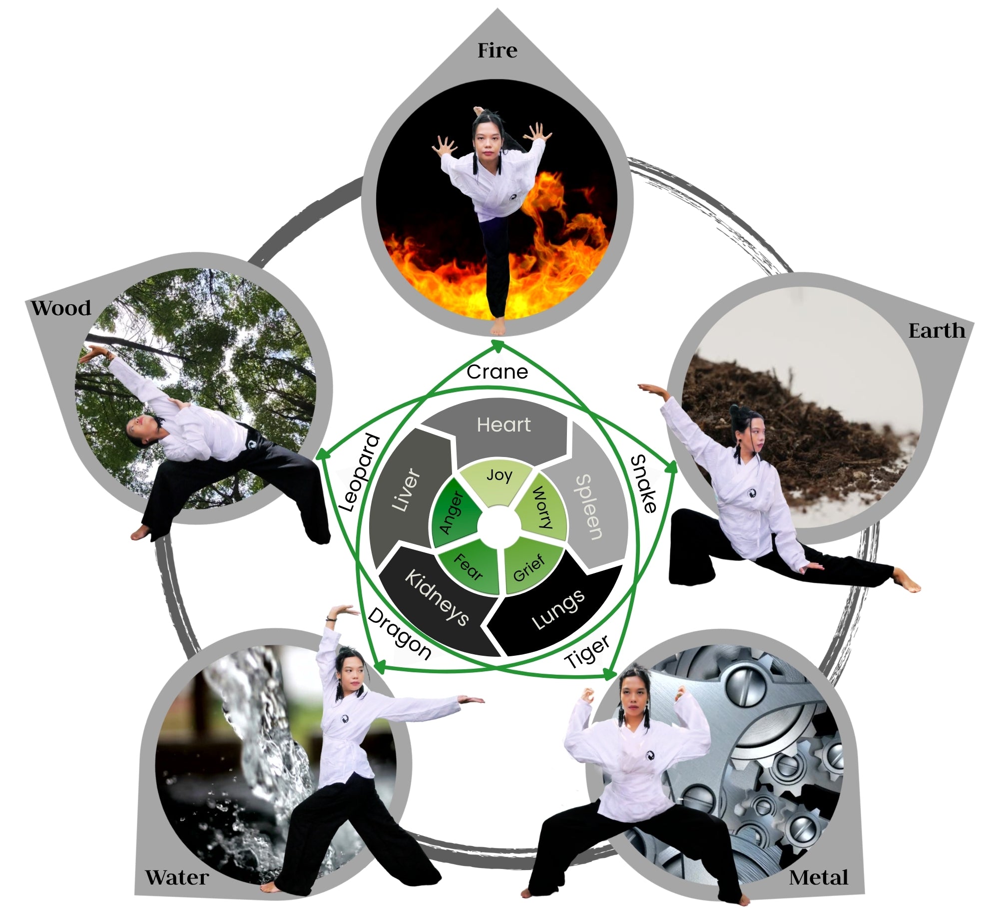 The dynamic 5 Element Qigong