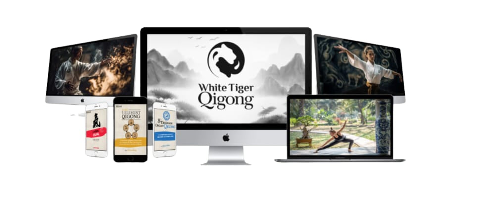 #1 qigong teacher certification