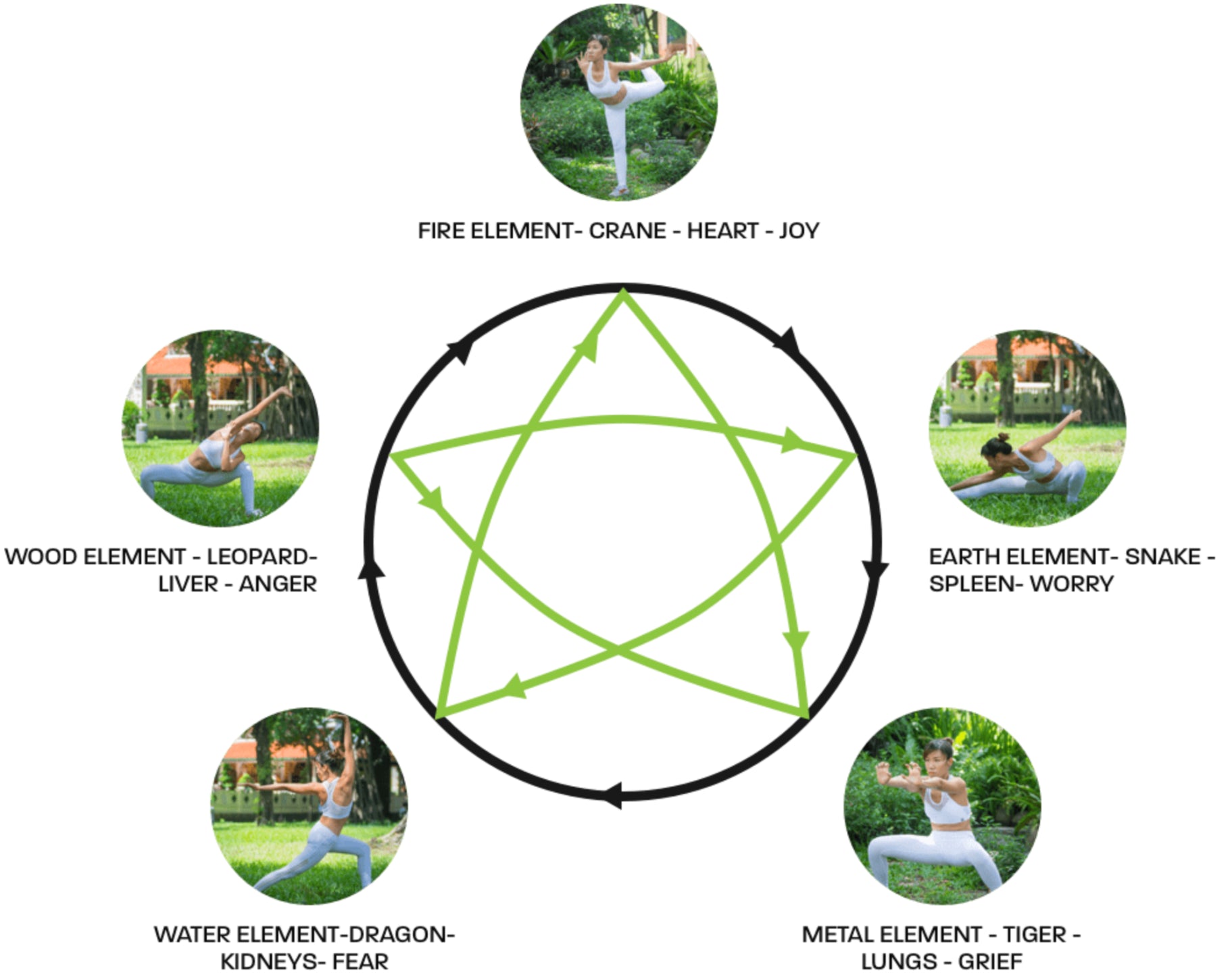 What Are The 5 Elements?