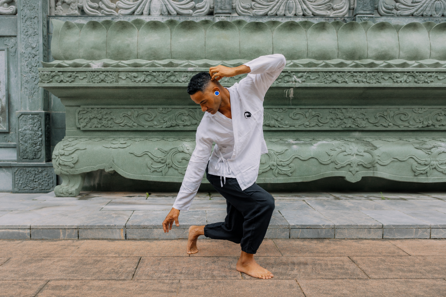5 Animal Qigong