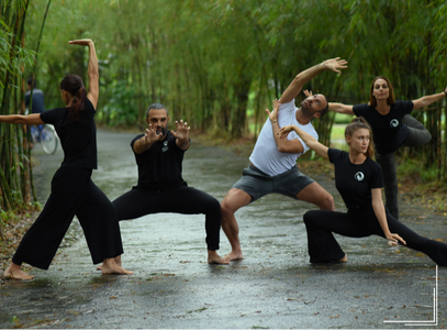 5 Element Qigong Teacher Training (Online)