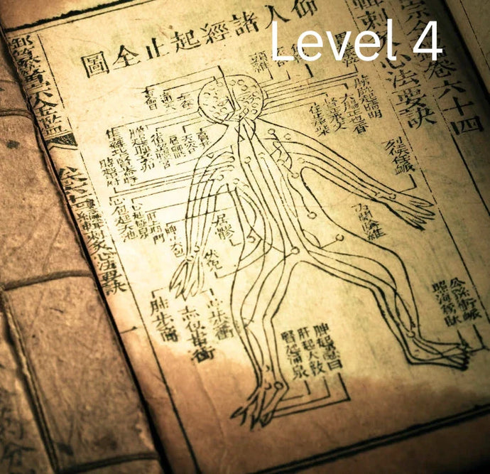 Level 4: Prescription Qigong