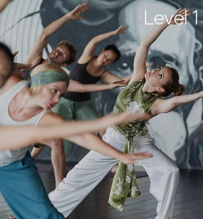 Level 1: Body Mastery (Jing)
