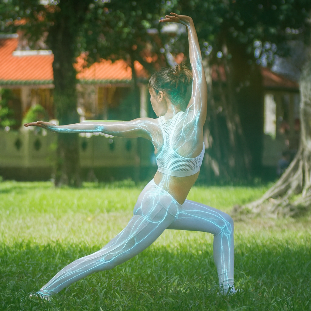 Dragon Meridian Qigong fascia and meridian practice