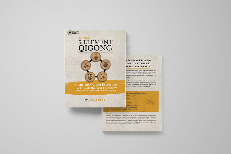 5 Element Qigong eBook