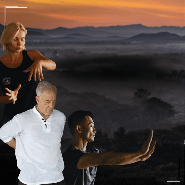 Body Balance Bundle
