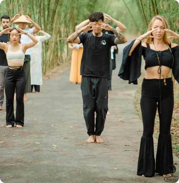 Level 5: Teacher Training