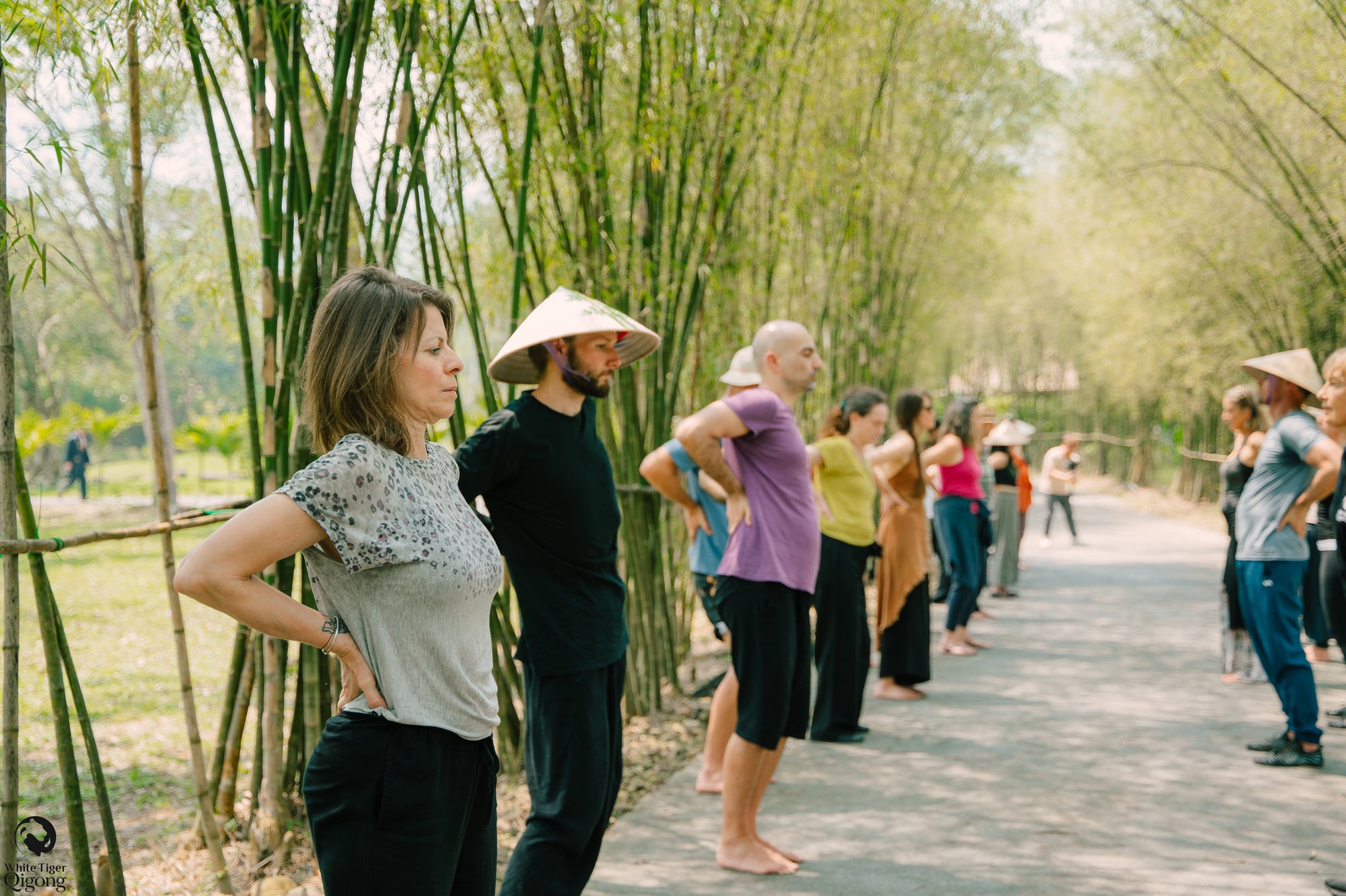 Qigong for Back Pain