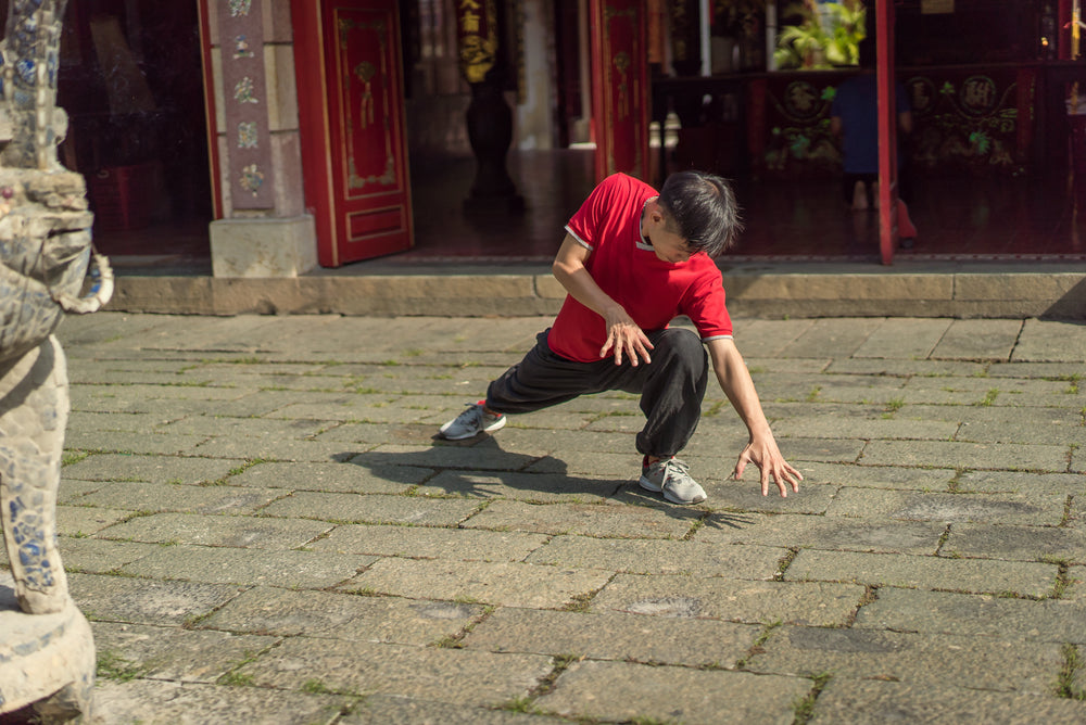 5 Animal Qigong Online Course