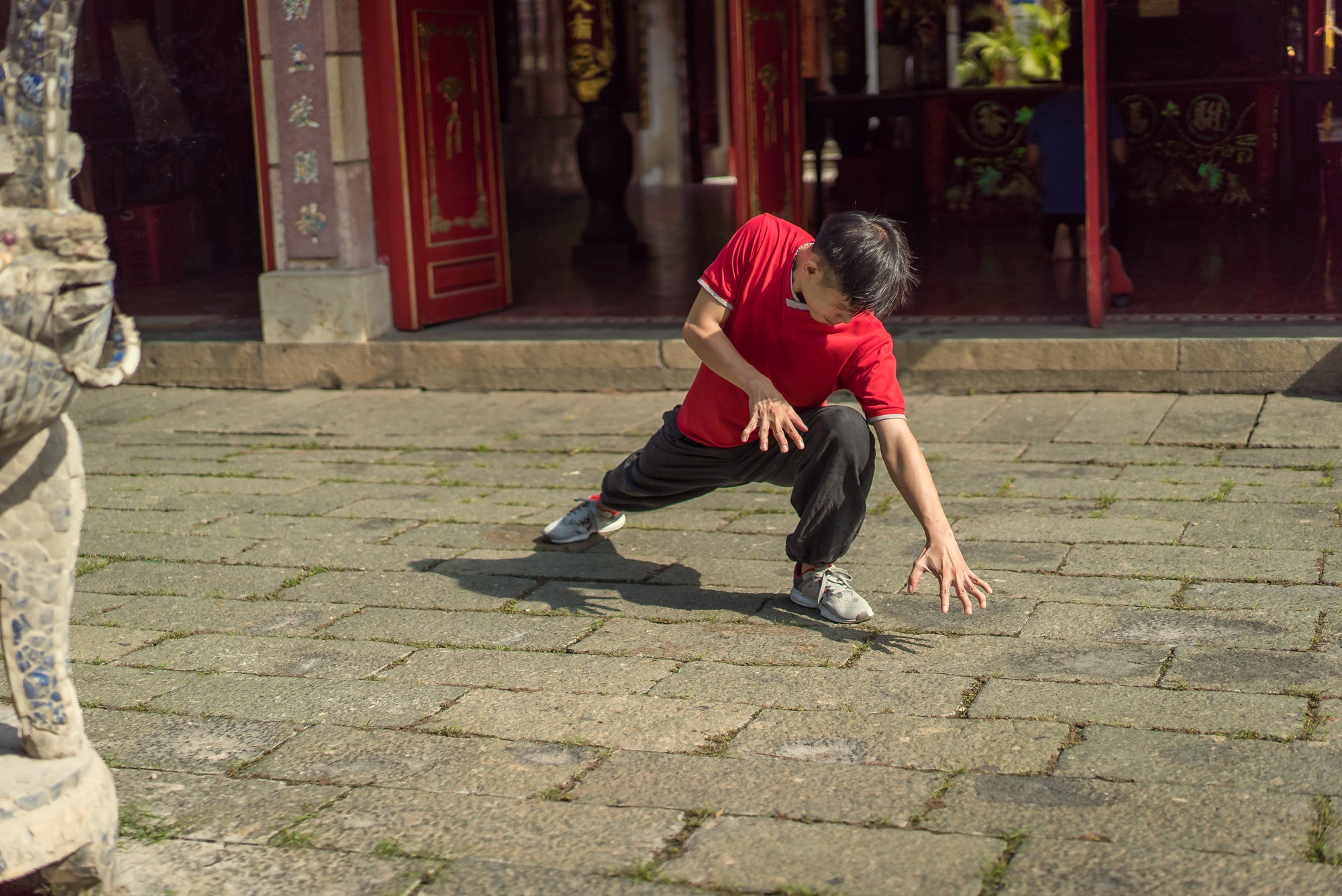 5 Animal Qigong Online Course