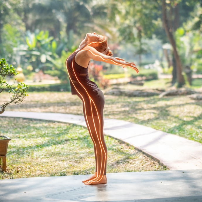 Meridians of Chinese Medicine Course