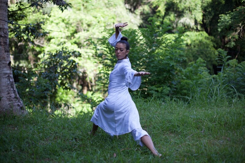 5 Element Qigong Mastery Course and Teacher Training Online Advanced White Tiger Qigong 5 Element Qigong Mastery Course – Levels 1–3 