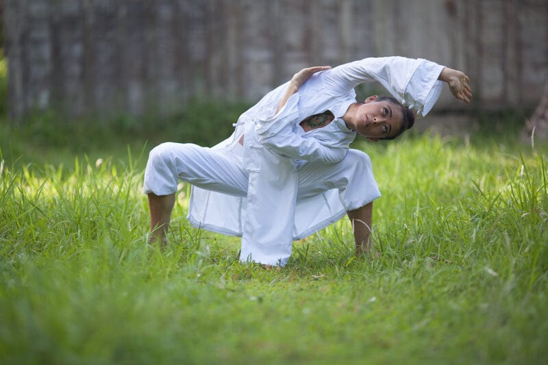 5 Element Qigong Mastery Course and Teacher Training Online Advanced White Tiger Qigong 5 Element Qigong Mastery Course – Level 1 