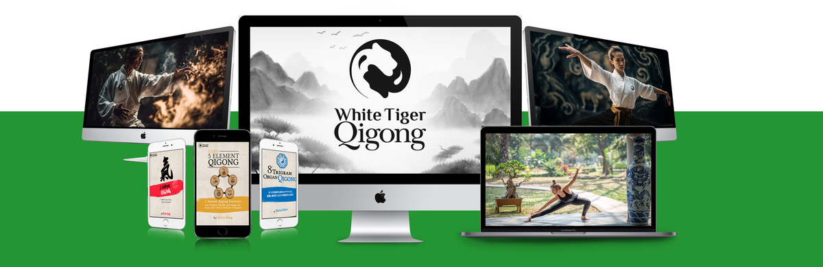 White Tiger Qigong curriculum across all four systems
