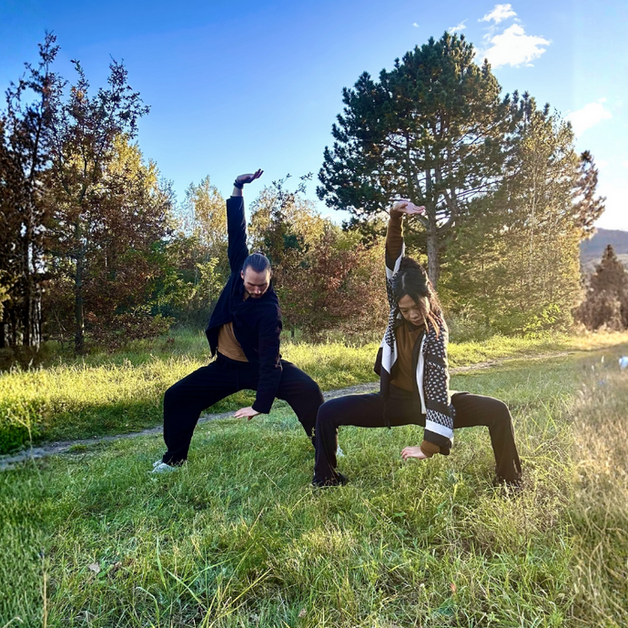 Two people practicing qigong in a grassy field with trees and mountains in the background.
