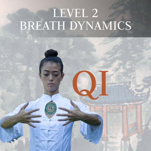 Level 2: Breath Dynamics (Qi)