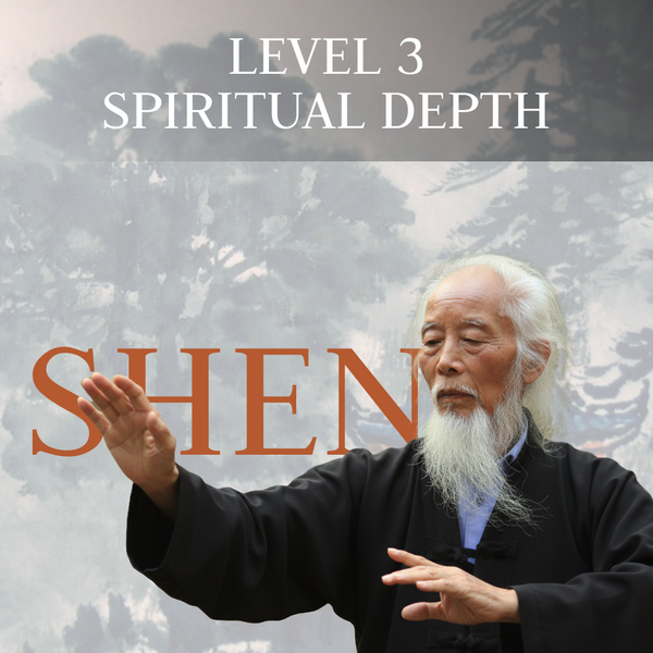 Level 3: Spirit