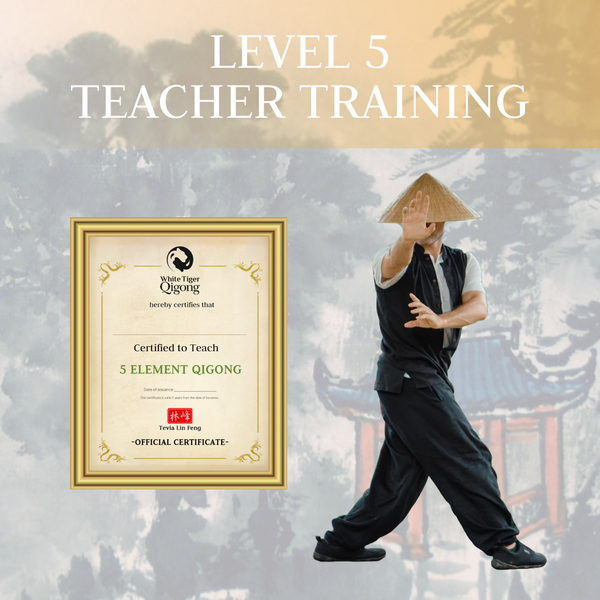 Level 5: Teacher Training & Certification Pathway