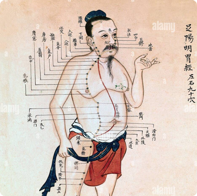 Know the truth about meridians and fascia