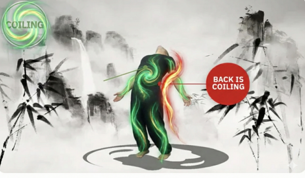 Level 2: The Breath (Qi) – Kinetic Chains & Sports Science