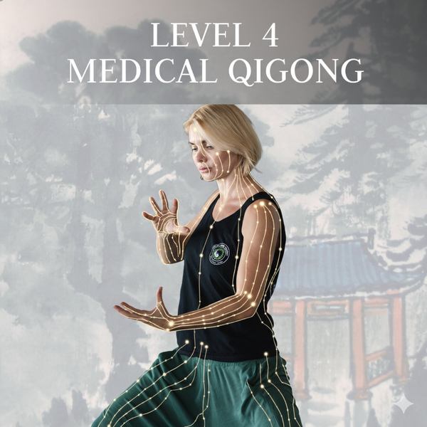 Level 4: Prescription Qigong