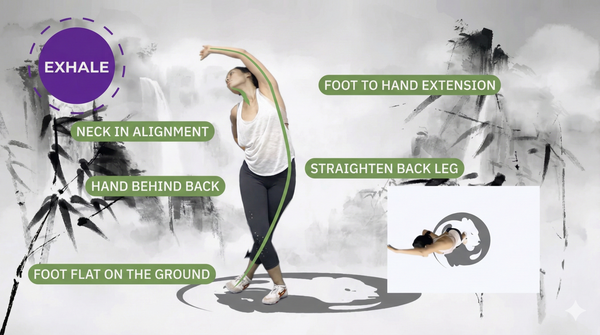 Level 1: The Body (Jing) – Structure & Form