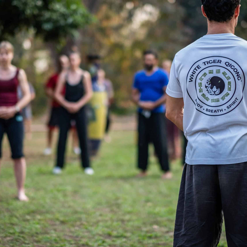 Bagua Walking Retreat