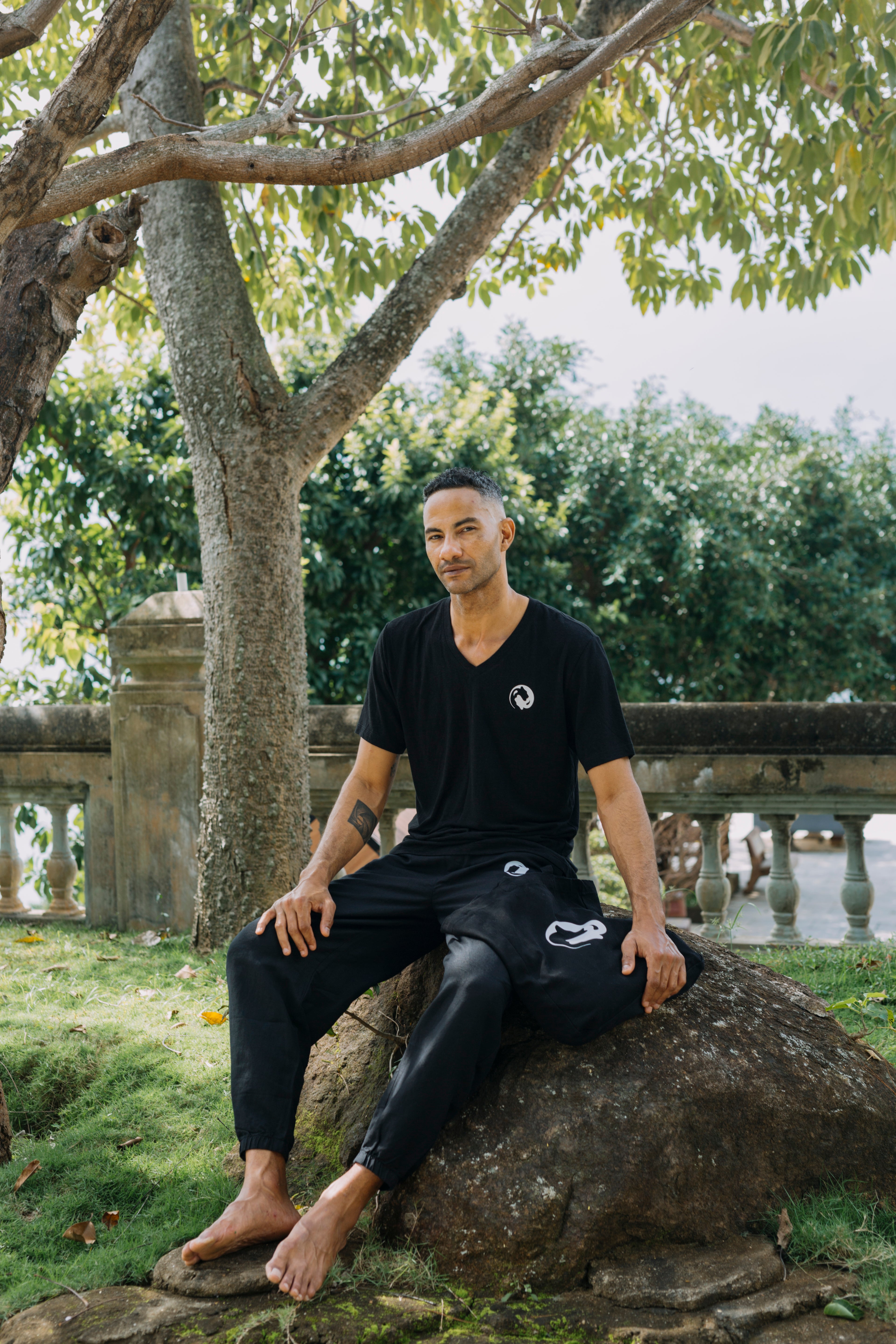 Complete Mindful Movement Collection (Men) - White Tiger Qigong