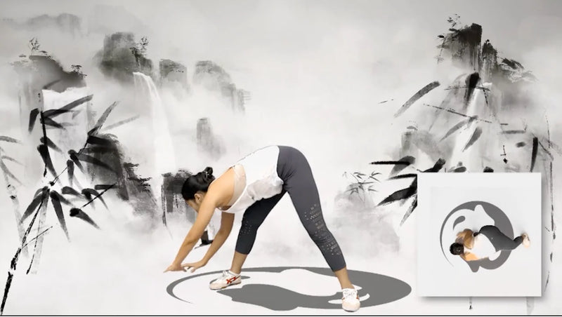 Level 4: Prescription Qigong