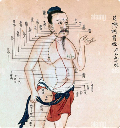 Fascia and Meridians