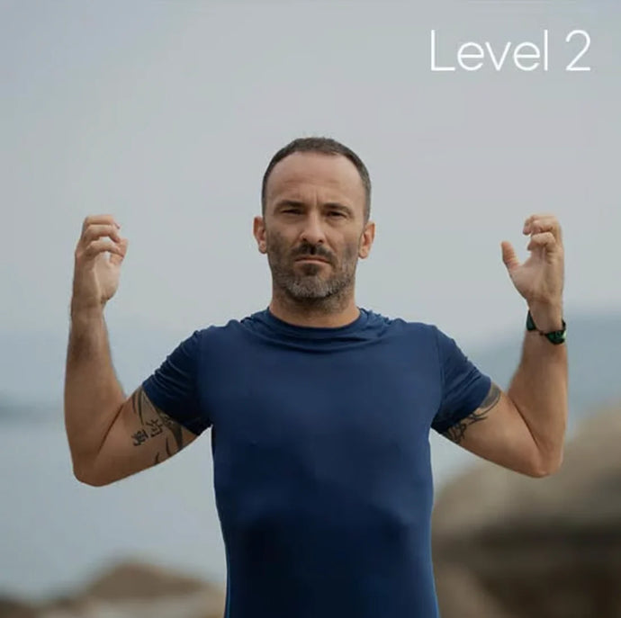Level 2: Breath Dynamics (Qi)