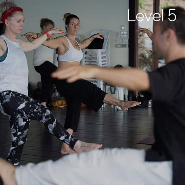 Level 5: Teacher Training & Certification Pathway