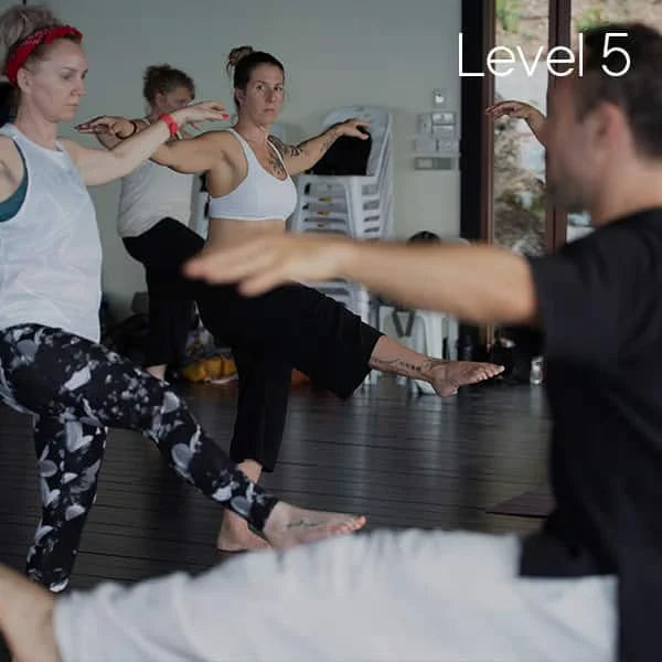 Level 5: Teacher Training & Certification Pathway
