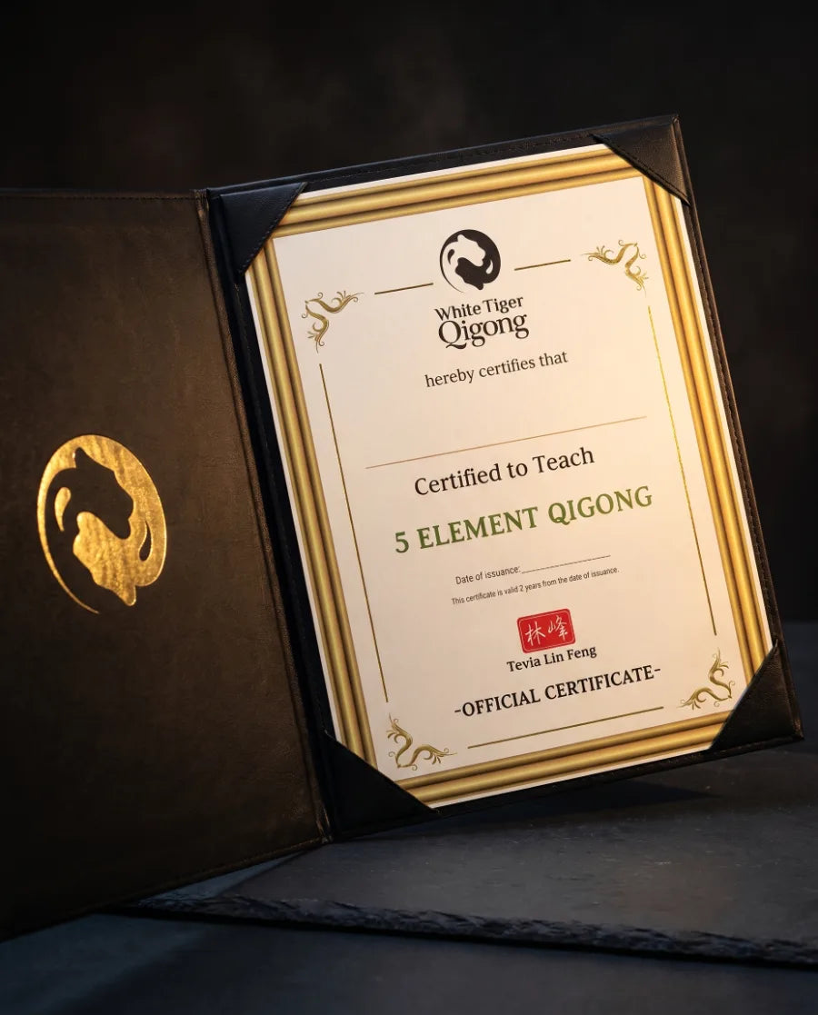 Certificate of completion at Levels 1 to 4. Certified Qigong Instructor at Level 5.