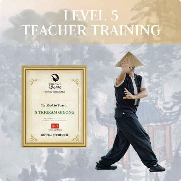 Level 5: Teacher Training