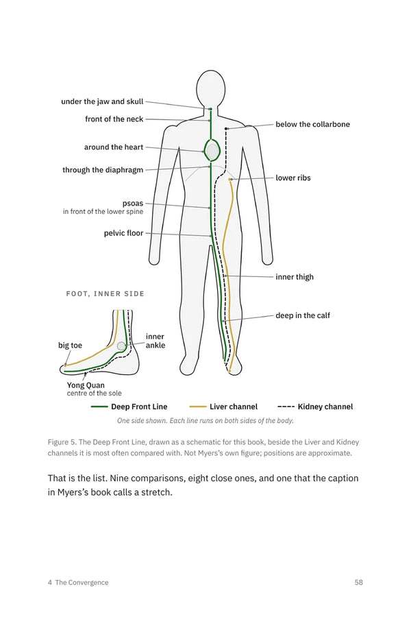 Page 58: Figure 5, the Deep Front Line beside the Liver and Kidney channels