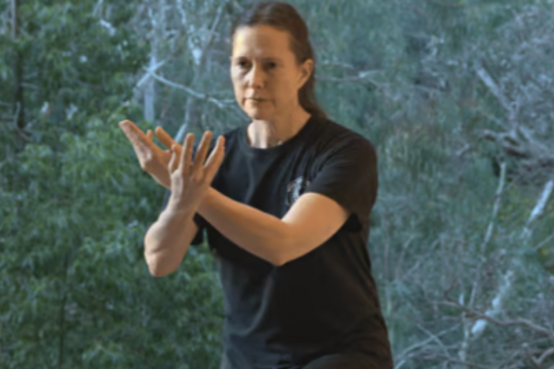 Gentle Qigong Course Outline