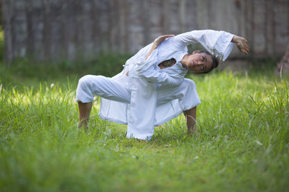 5 Element Qigong Mastery Course and Teacher Training Upgrade