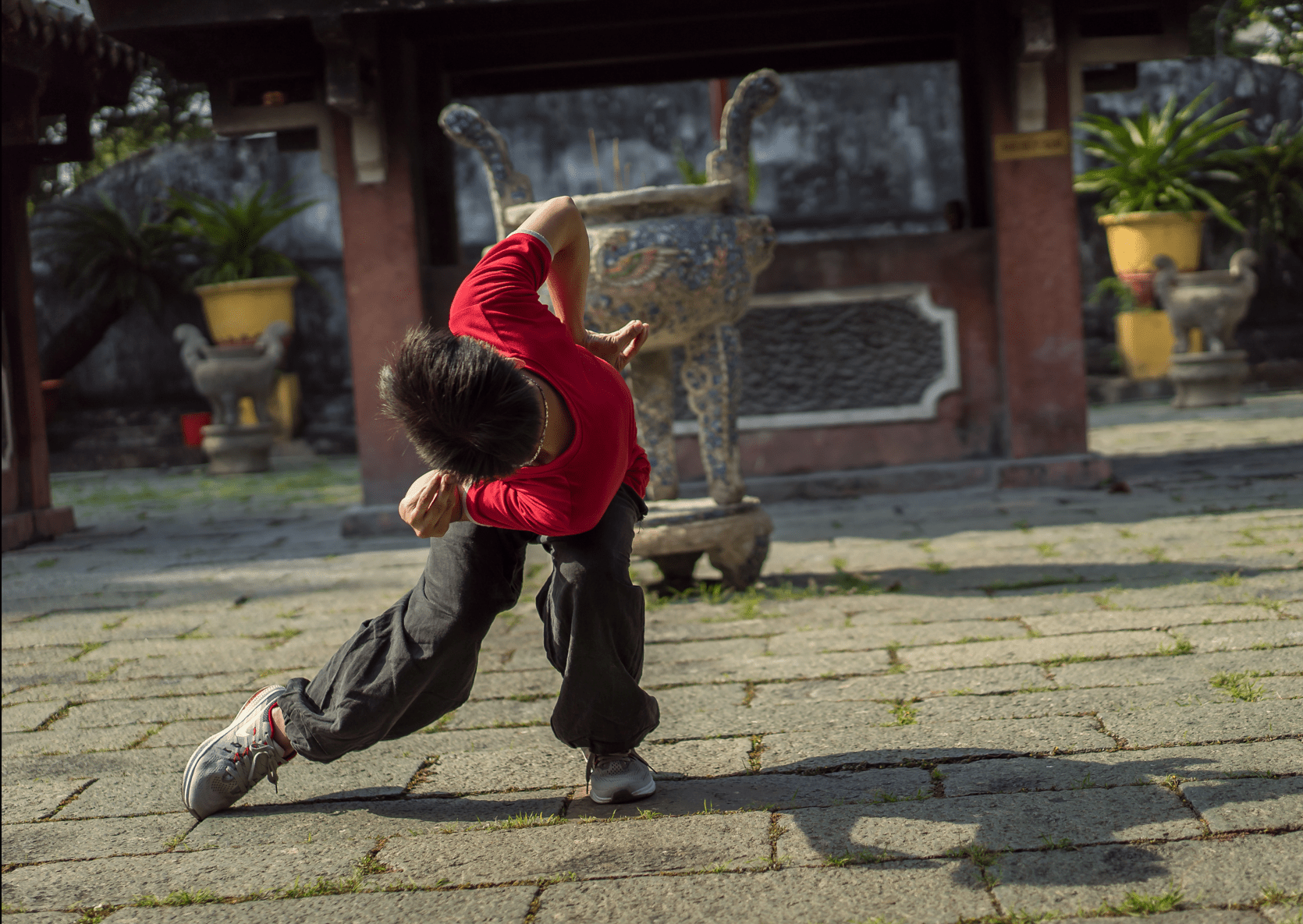 Holistic Balance Bundle Intermediate White Tiger Qigong 