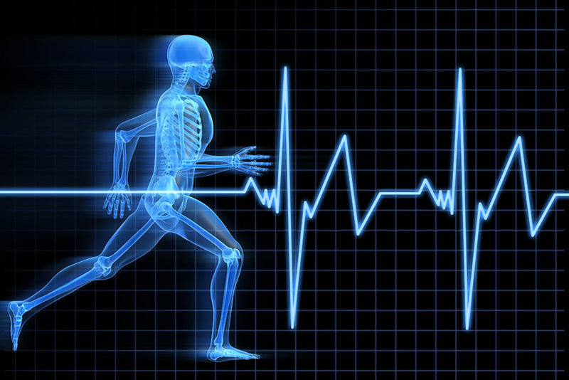 Sports science