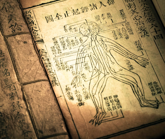 Level 4: Prescription Qigong