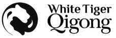 Logo for White Tiger Qigong with a stylized tiger head and text.