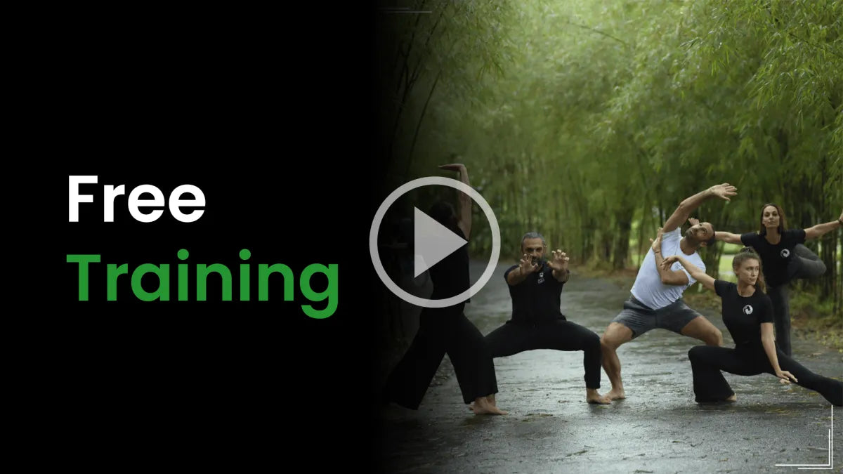 Free Dragon Meridian Qigong training