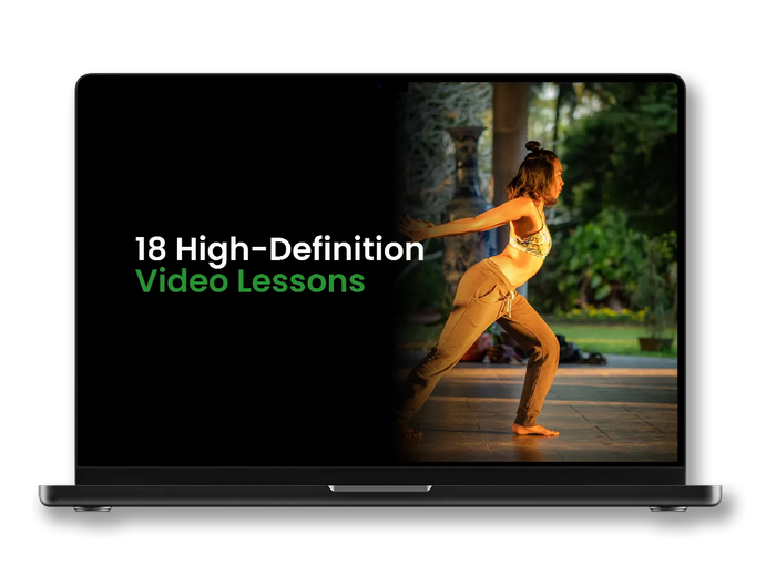 18 High-Definition Video Lessons